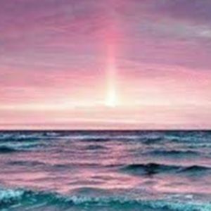 Meet your Posher, Isha